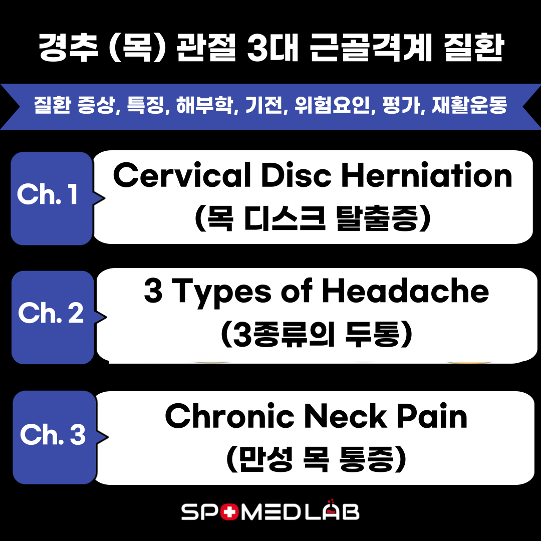 3월 11일 (화) RCT 3.0 : Neck (경추 파트) : 주식회사 스포메드랩