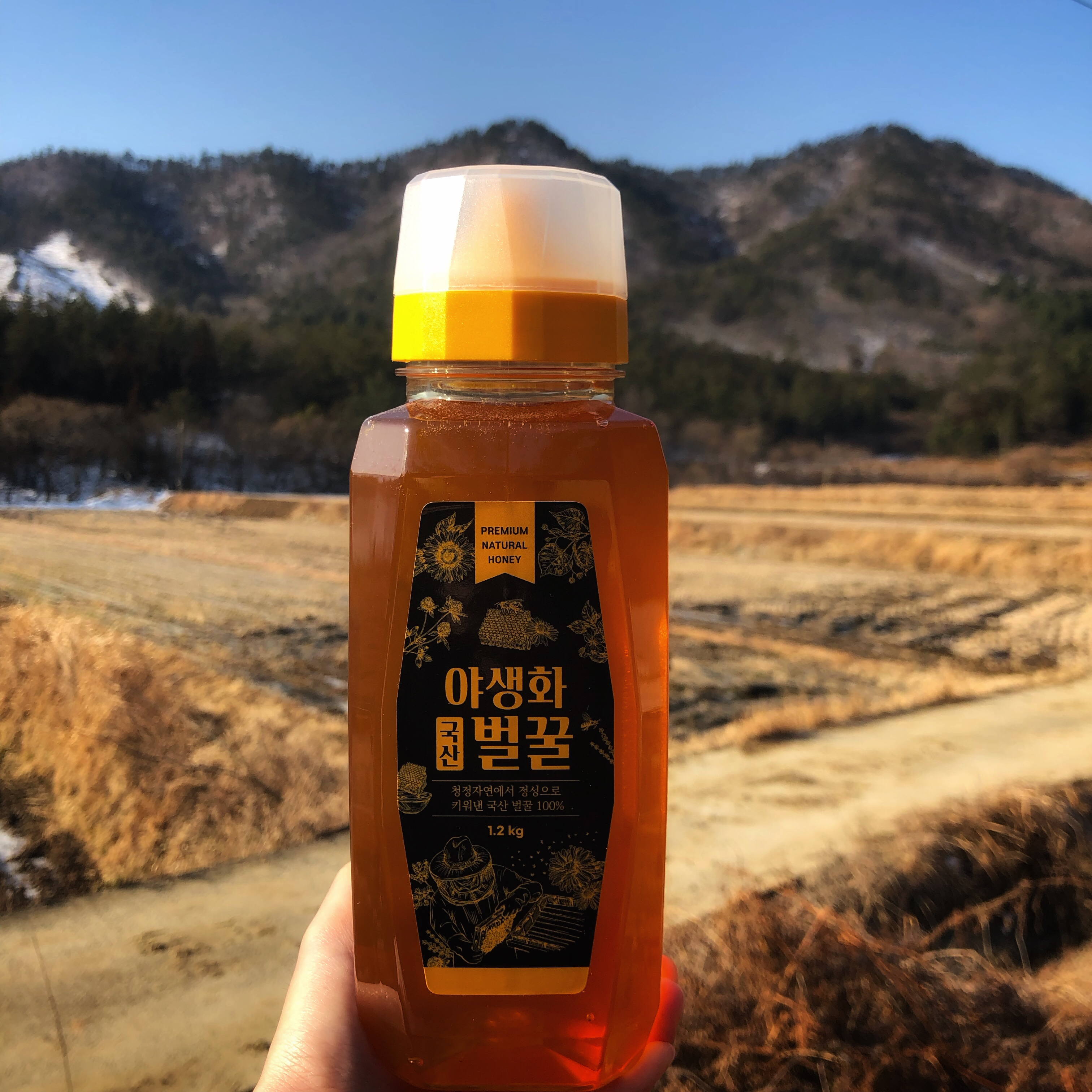 청솔농원 벌꿀 선물세트 1호 야생화(1.2kg x 2) 명절 어버이날 스승의 날 추석 집들이 : 완전강해진장보고