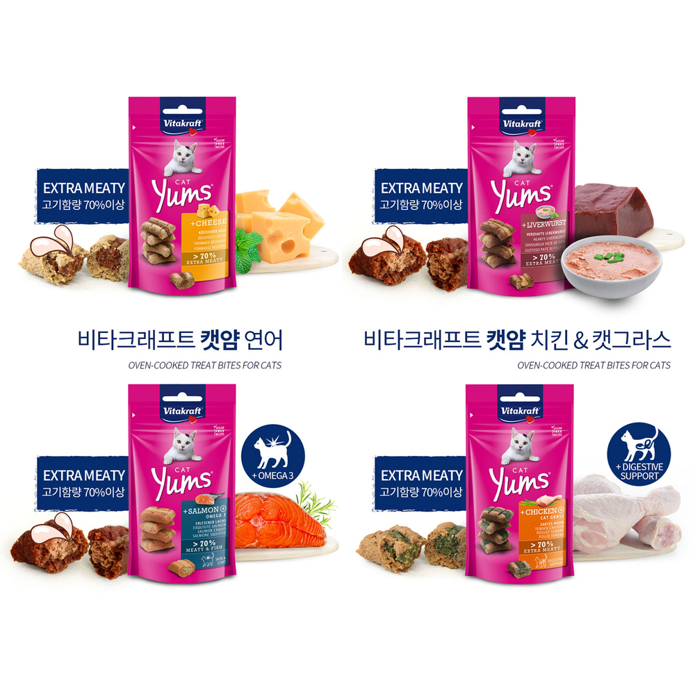 비타크래프트 캣얌 치킨+캣그라스, 40g, 1개 : 바른펫