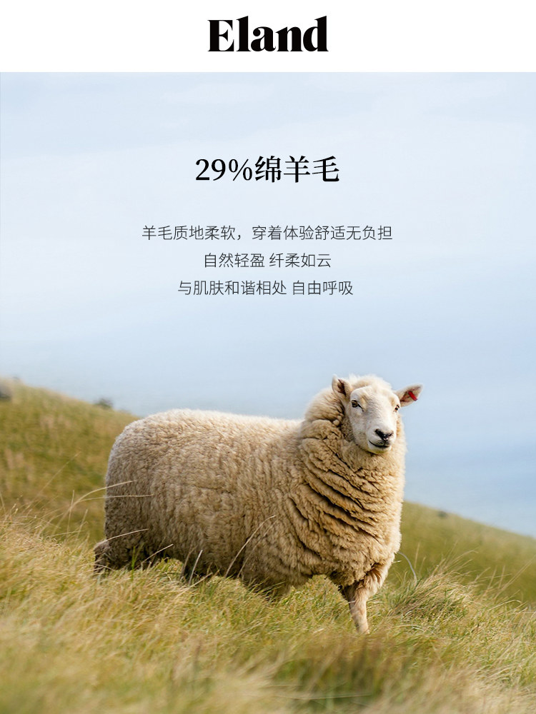 다리 유선문의 24V 온열기 온열 사이즈 전기식 발바닥 그레이 전기온열찜질기 덧신 멜란지그레이(16)L/Grey S/160 : 블루버드2502