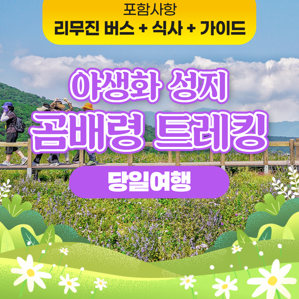 등산패키지 강원버스투어 국내 야생화 트레킹 곰배령 탐방예약 서울버스여행 봄꽃여행 : 승우여행사