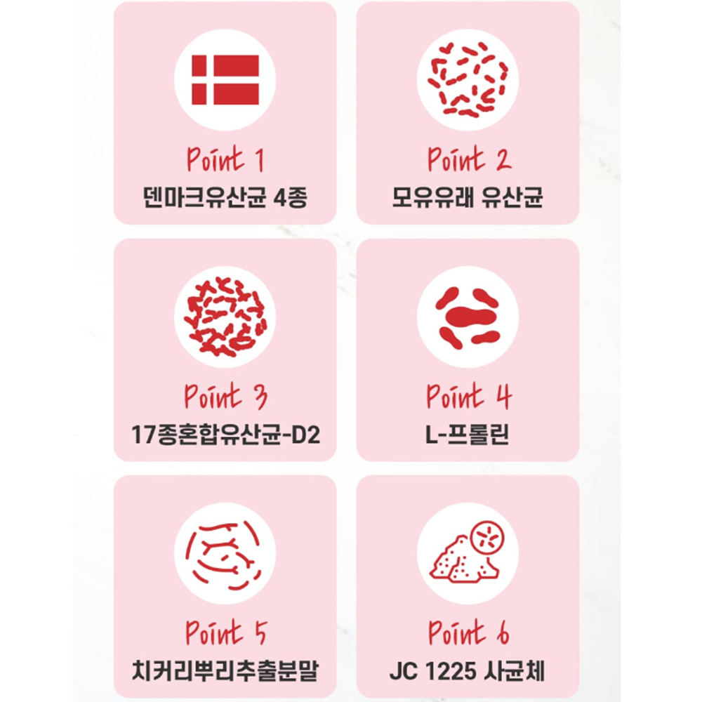 척척바이오랩 덴마크 유산균 프리미엄 프로바이오틱스 2g x 30포 x3박스 쇼핑백 : My Lifestyle