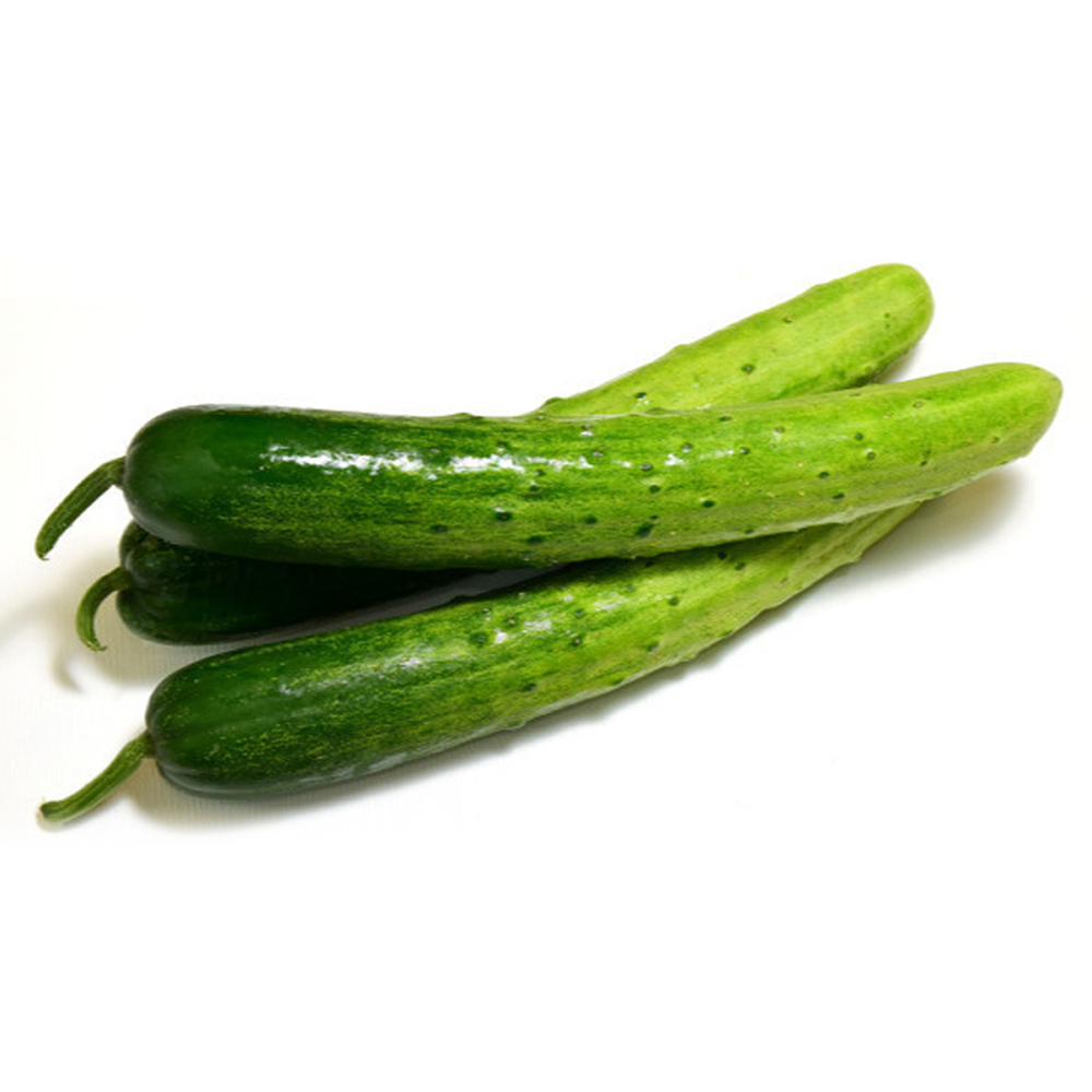 [엘라비스] 수분의 여왕 백오이(특) 4kg : 9STORE