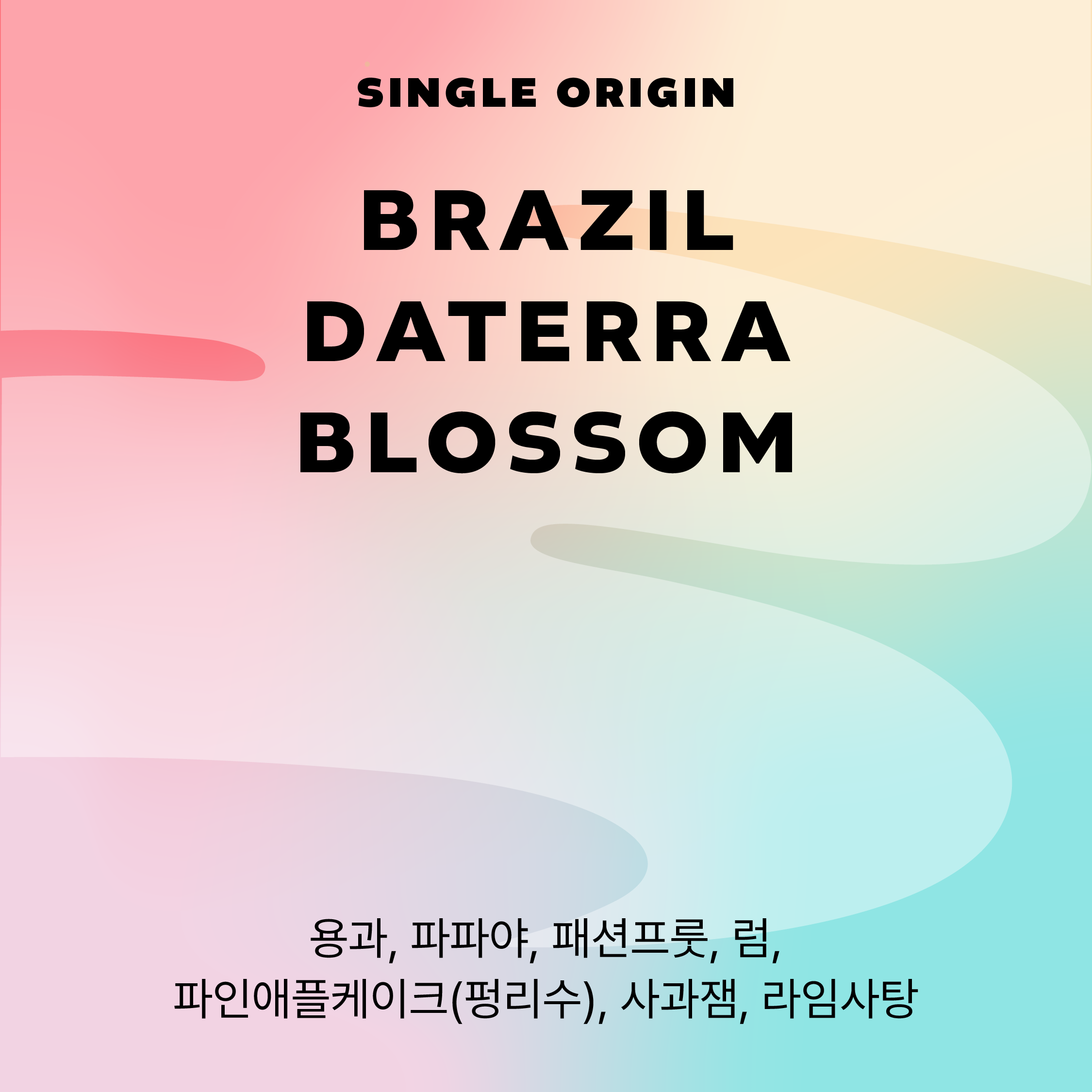 브라질 다테라 블로썸 싱글 오리진 원두 커피 [엠프티랩] : 엠프티랩