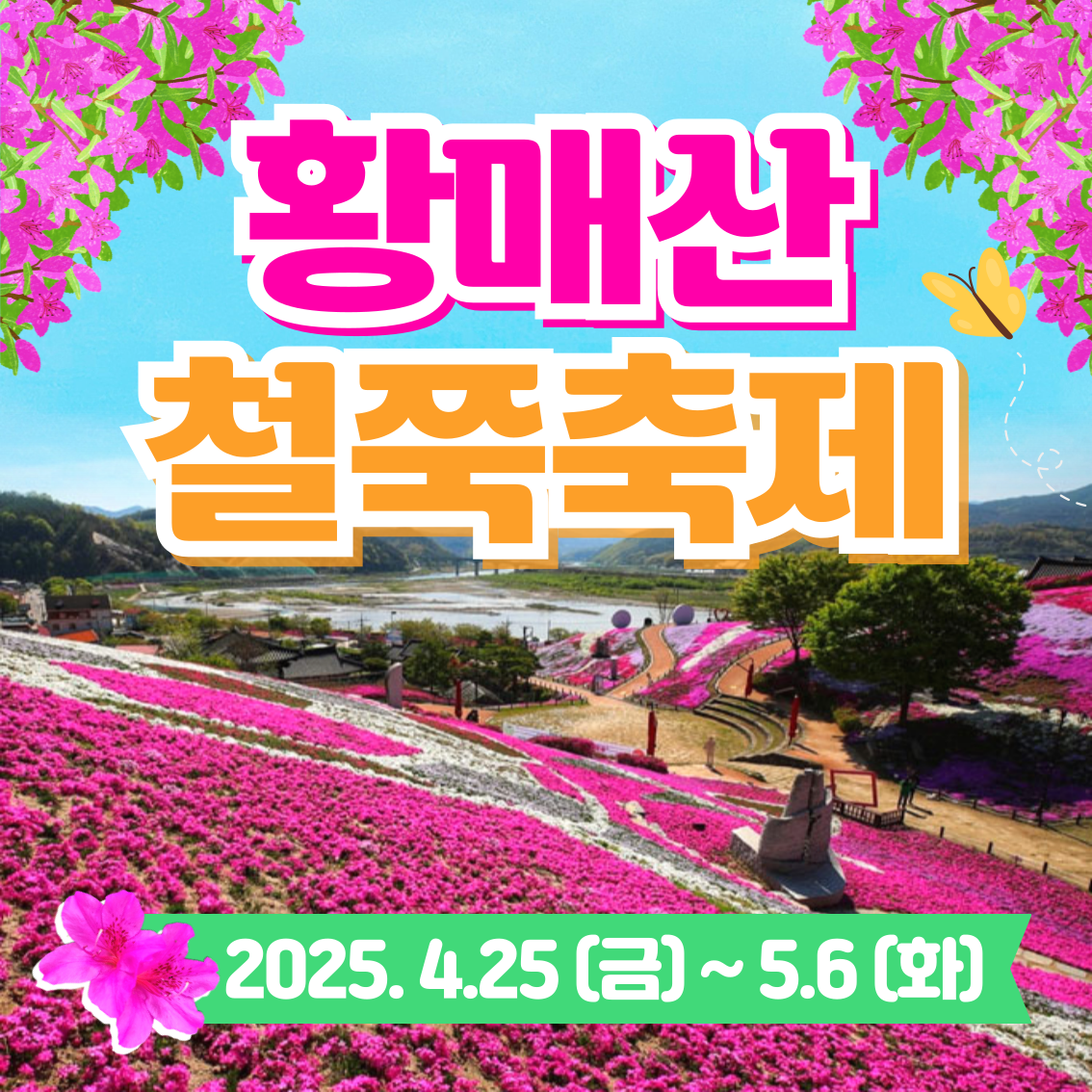 와우부산여행사[부산출발] 황매산철쭉 당일투어 버스여행 : 와우부산여행사