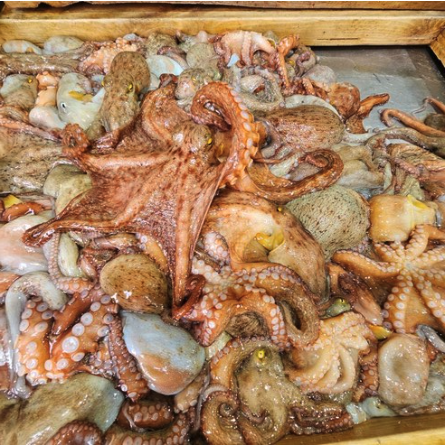 통영 앞바다 깔끔손질 돌문어 : 통영바다씨푸드
