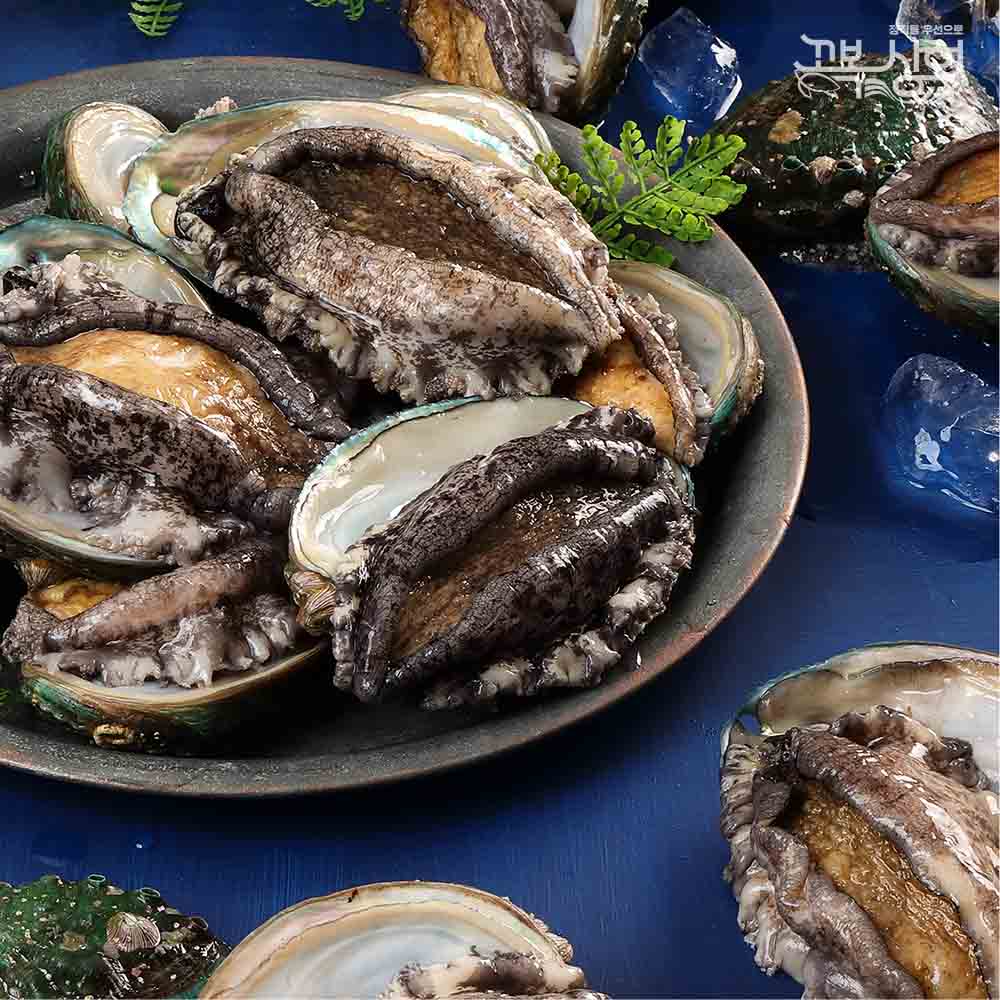 [꼬복상회] 완도 활전복 18-20미 1kg 산지직송 당일조업 선물용 : 꼬복상회