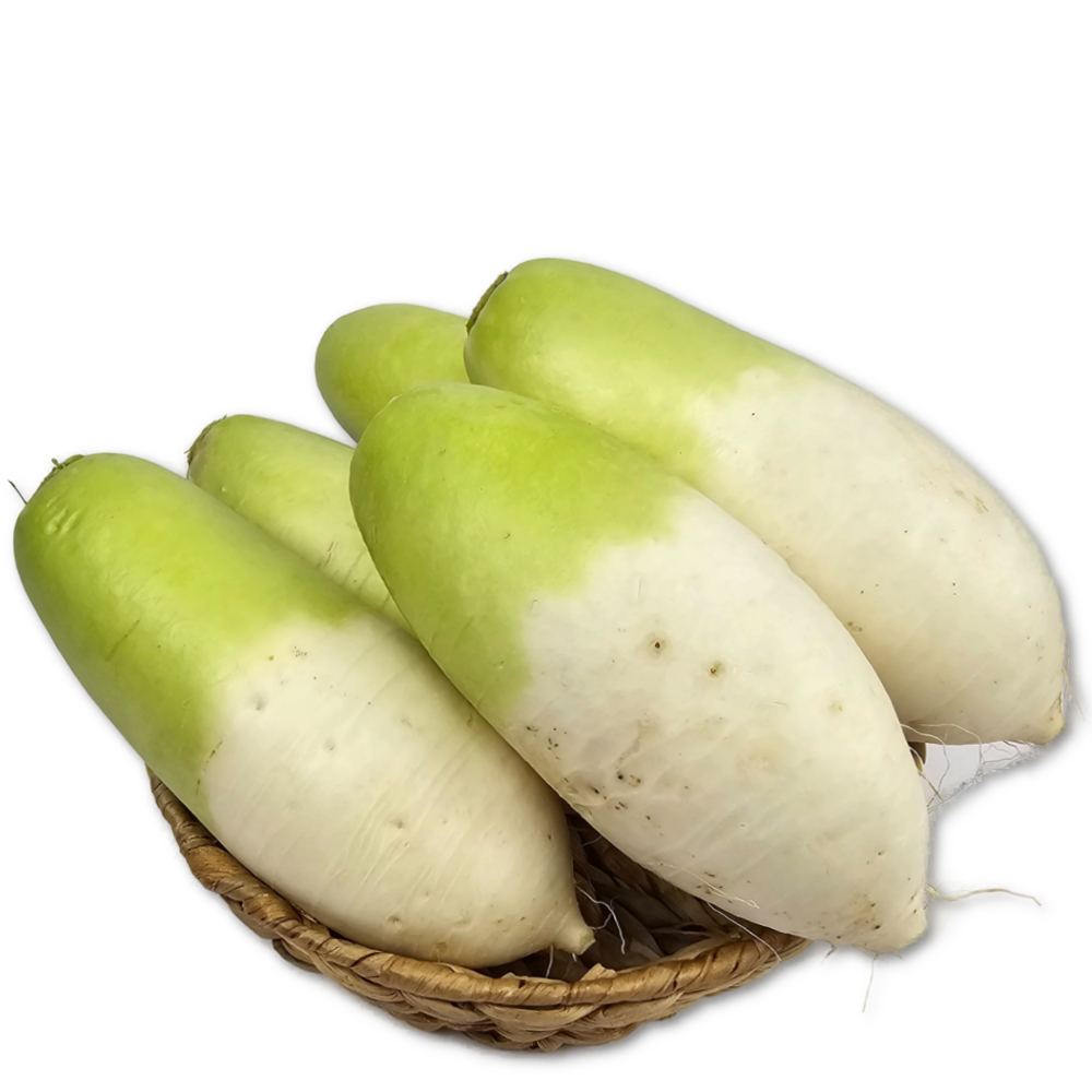 제주월동무 제주무 알타리 5kg : 제철달력