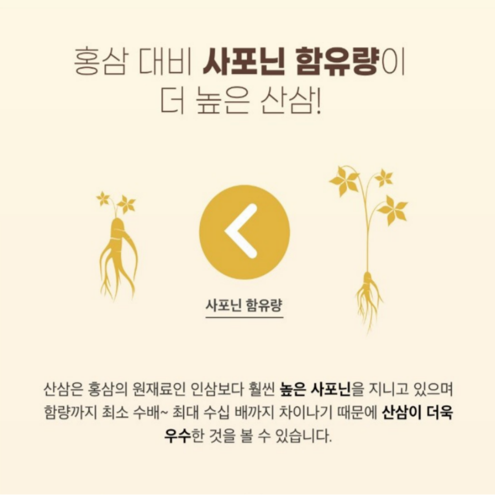 110년 천종 산삼 배양근 프리이엄 농축액 겔 (10g x 50포) : 에이치케이바이오몰