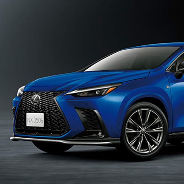 Xauto 렉서스 NX 2세대 PPF 보호필름(주유구,도어컵,도어엣지) : xauto