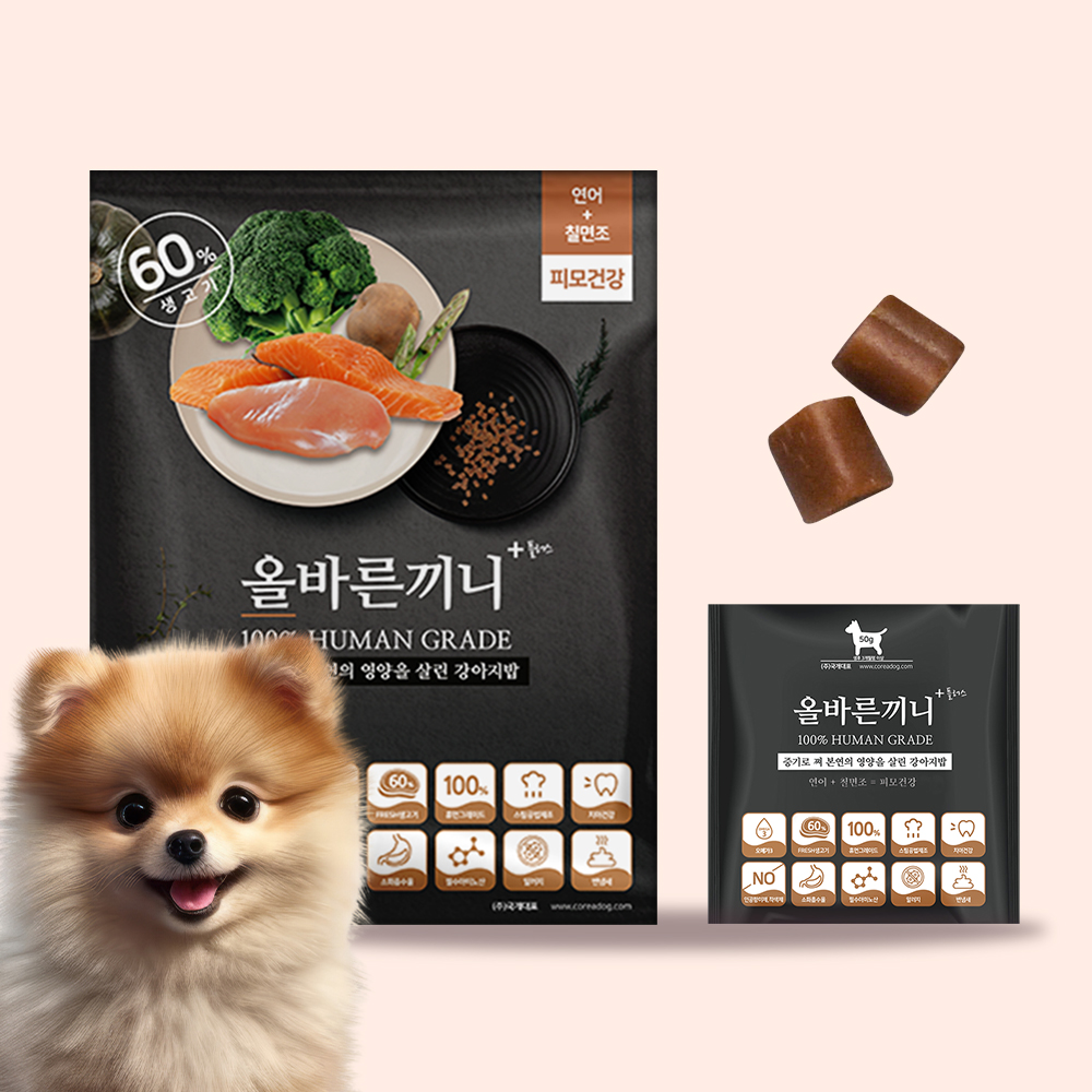 올바른끼니 플러스 연어 강아지사료 눈물 알러지 피부 건강도움 강아지밥 기호성 좋은 애견사료 : 국개대표