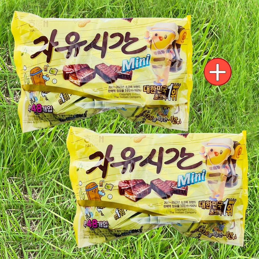 해태 자유시간 미니 480g 2개 : 슬기로운행복마트