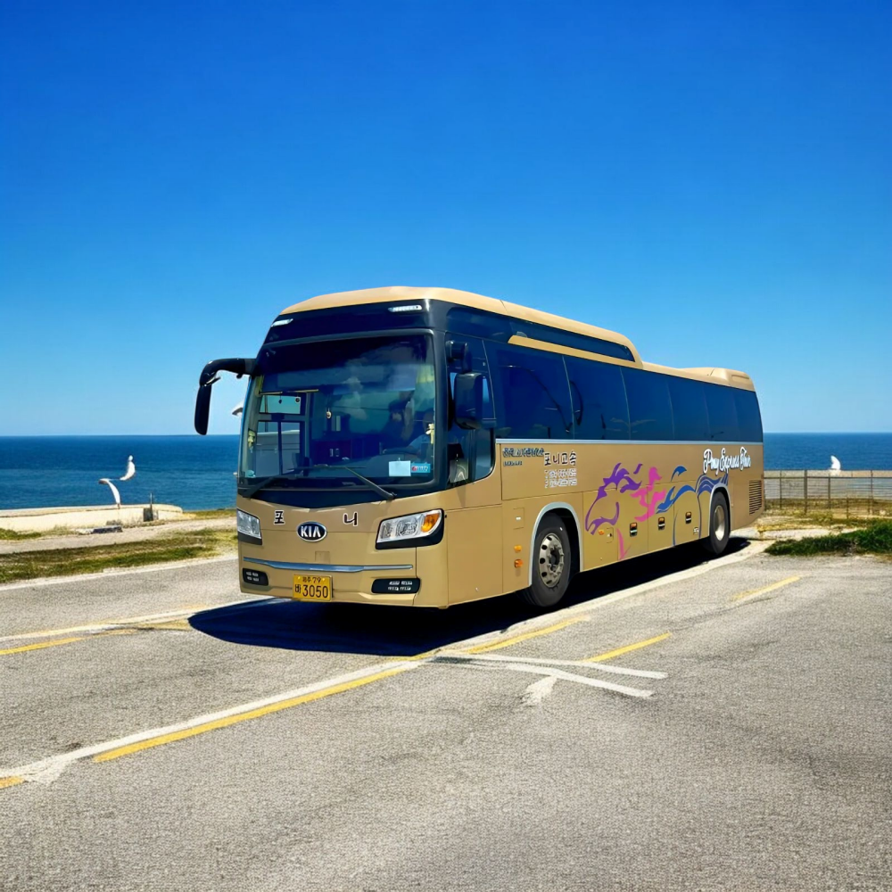 제주도 단체버스 대절 45인승 버스 대여 예약 학생단체 수학여행 : 포니고속