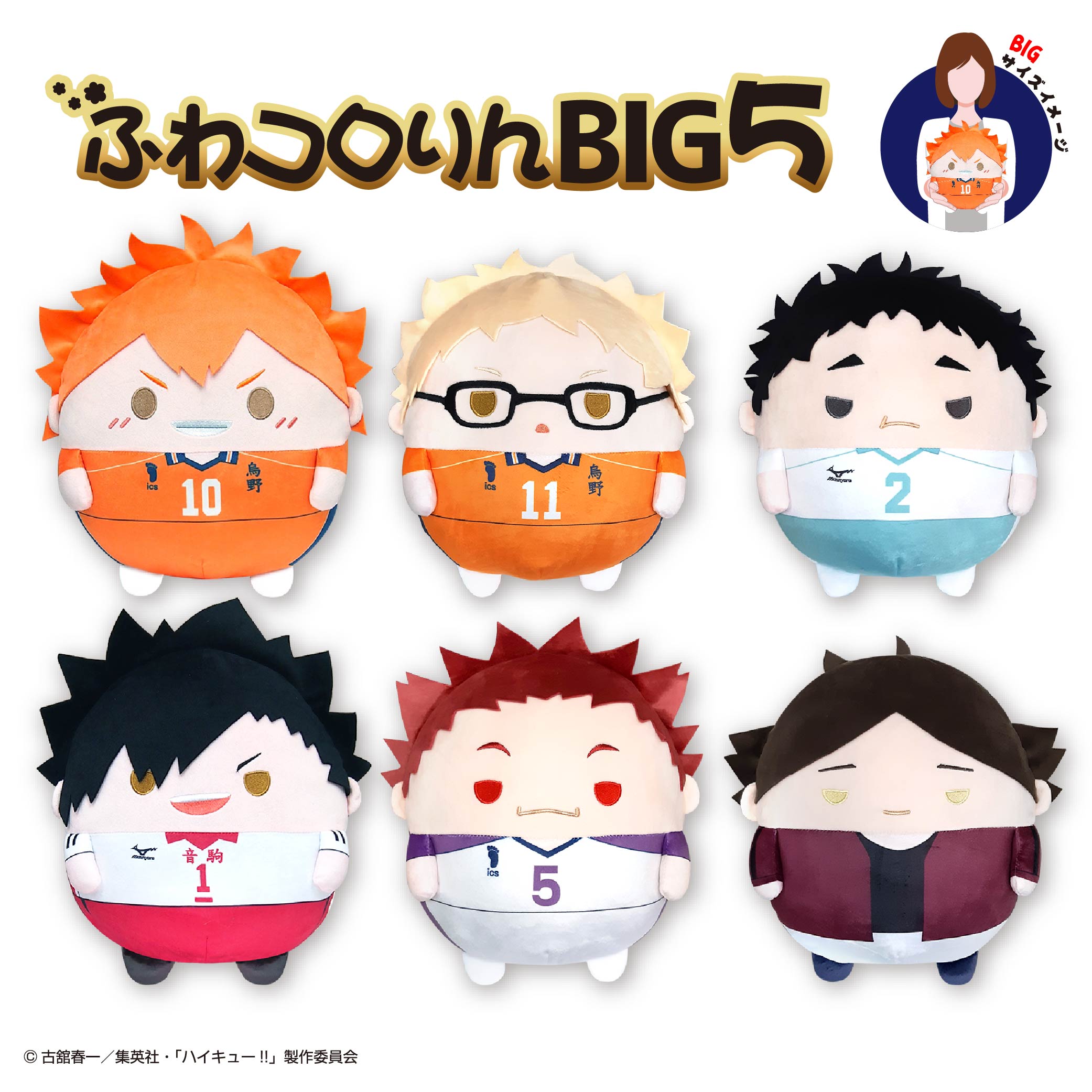 (25년 6월 발매) [공식총판] 맥스리미티드 하이큐 후와코로링 BIG 5 [전 6종, 단품, 재판] : 베스트하비몰