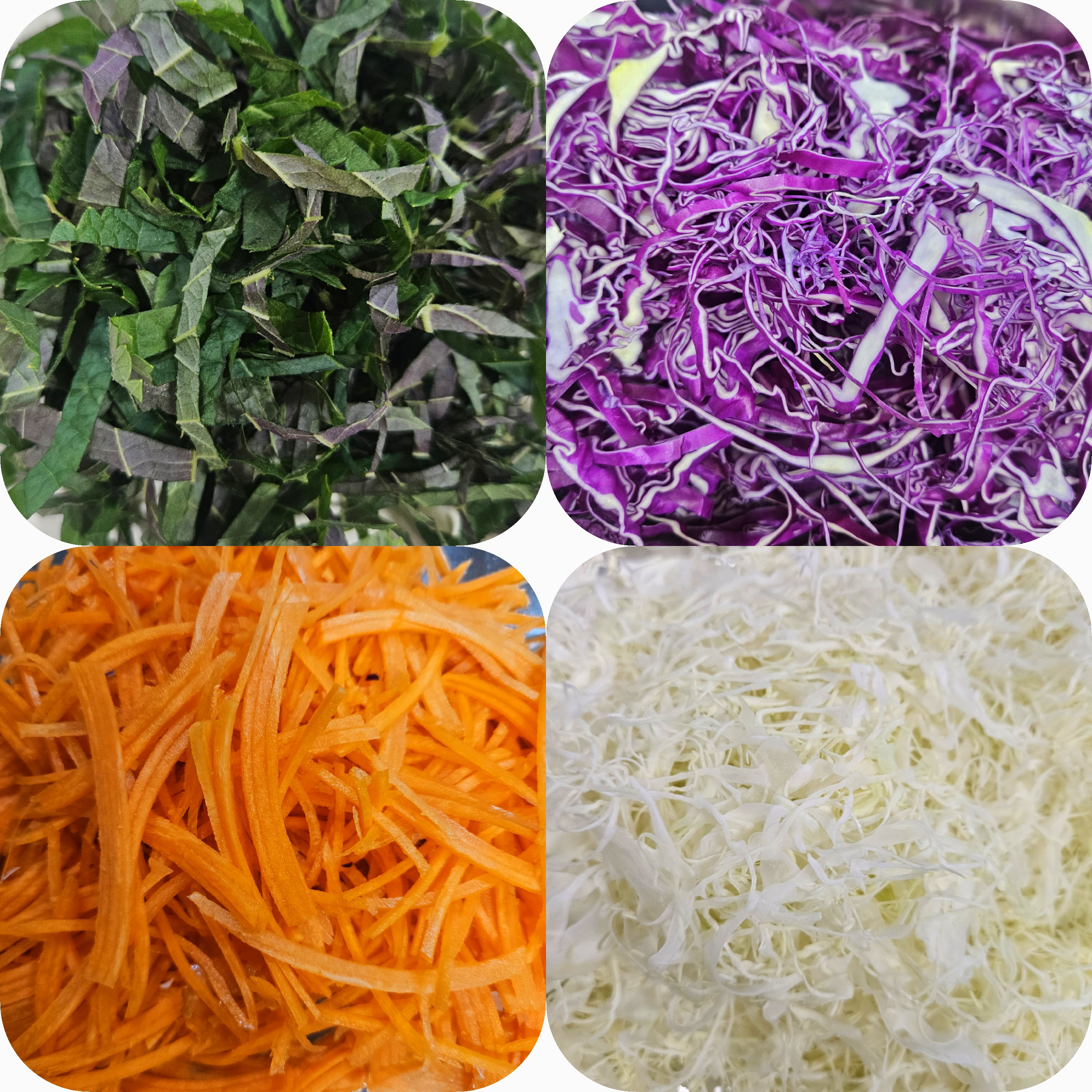 기장생멸치 손질 멸치회 멸치찌개용 1kg 회무침 조림용 : 기장멸치 소문난젓갈건어물