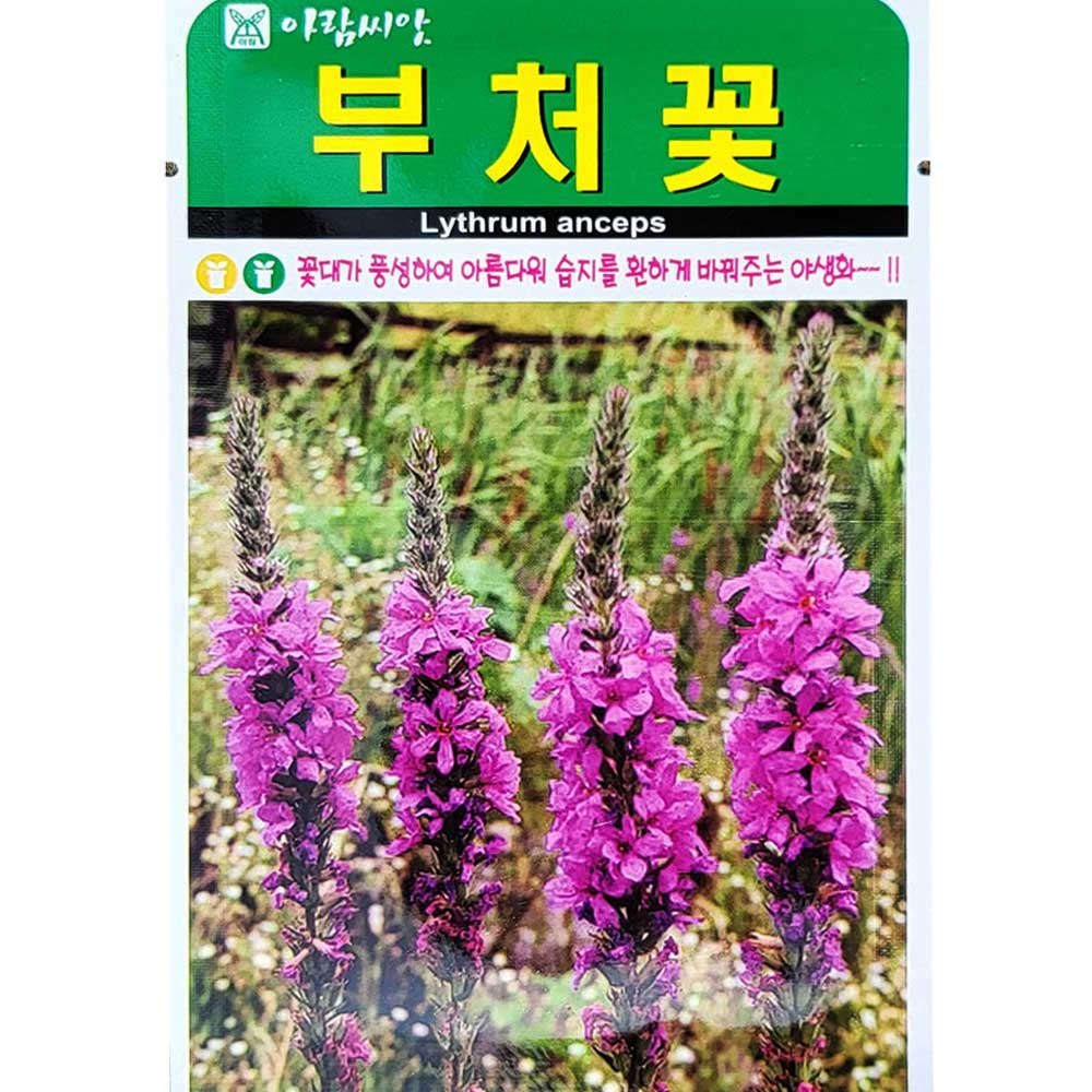 부처꽃씨앗 5000립 잎줄기꽃모두약용 꽃대가풍성하여아름다운 : 이파주