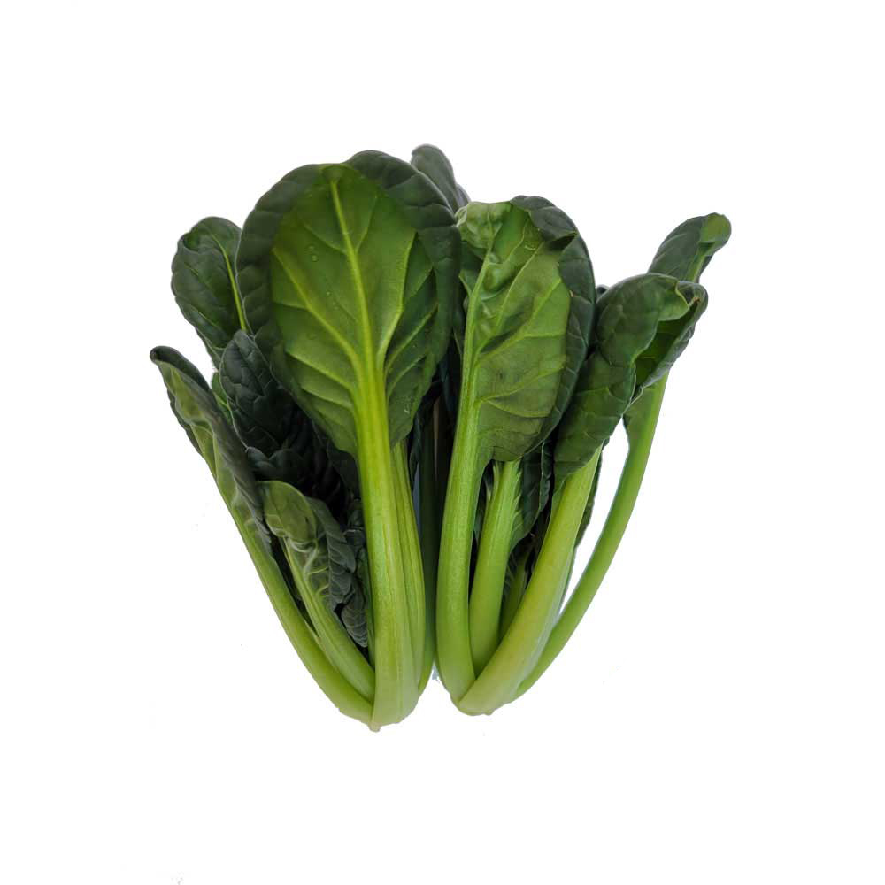 야채이야기 싱싱한 그린 비타민 채소 특수 야채 500g 다채 : 야채이야기