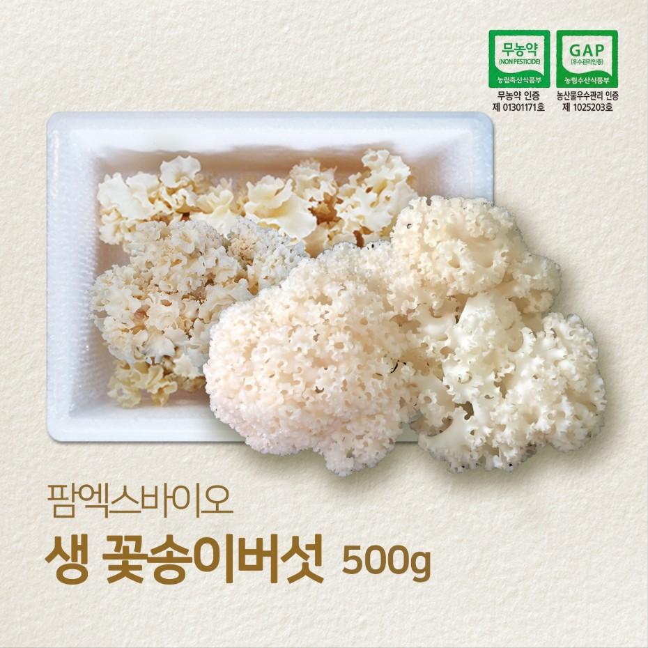 팜엑스 바이오 하늘이 내린 귀한 선물 황금 생 꽃송이 버섯 500g 국내산 : 팜엑스바이오