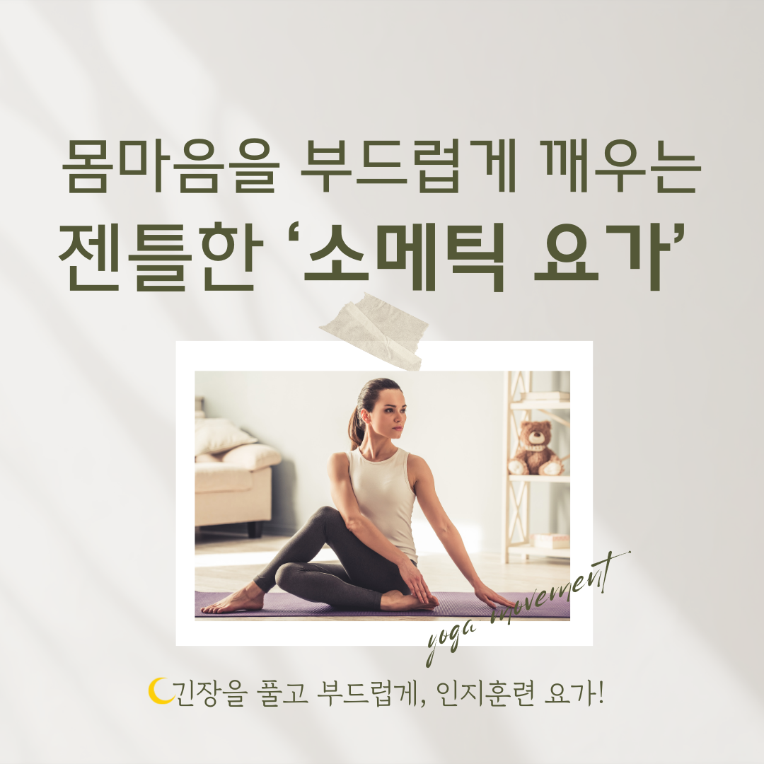 소그룹레슨 : 판교알렉산더테크닉요가