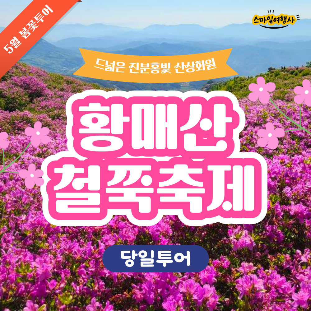 철쭉명소 황매산 철쭉 당일투어 [부산출발] 스마일여행사 : 스마일여행사
