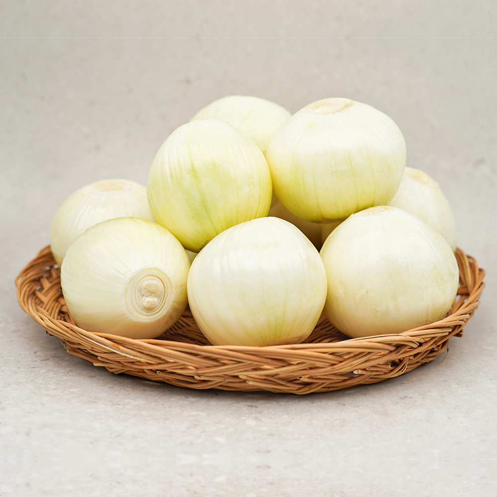 업소용 깐양파 10kg 수입산 생 양파 특대 : 벌크푸드