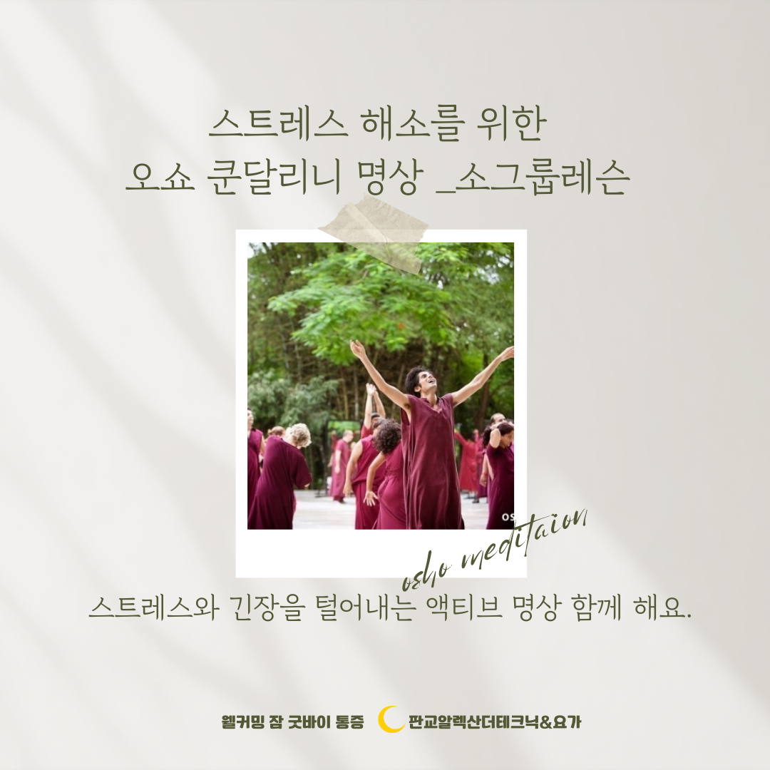 소그룹레슨 : 판교알렉산더테크닉요가
