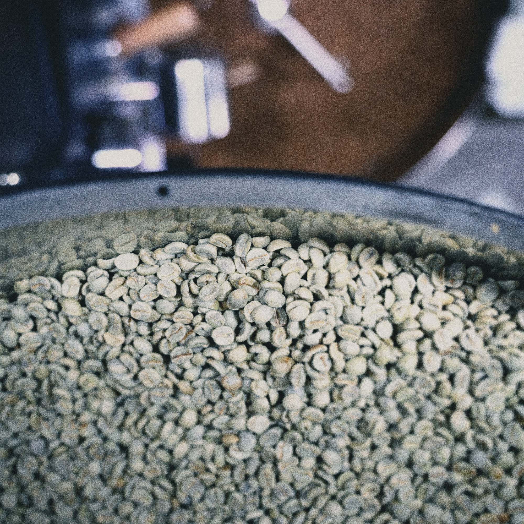 오벡스 커피 브라질 다테하 원두 BRAZIL DATERRA 500g : 오벡스컴퍼니