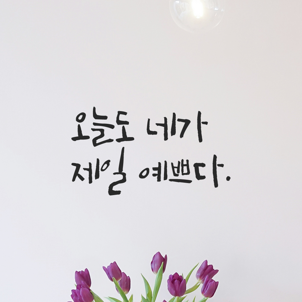 캘리그라피 레터링 스티커 오늘도 네가 제일 예쁘다 검정 S : 모노먼트