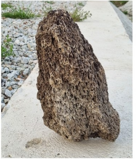 화산석(현무암) 특대형 25cm-28cm어항 정원 장식돌 1개 : 부림마트
