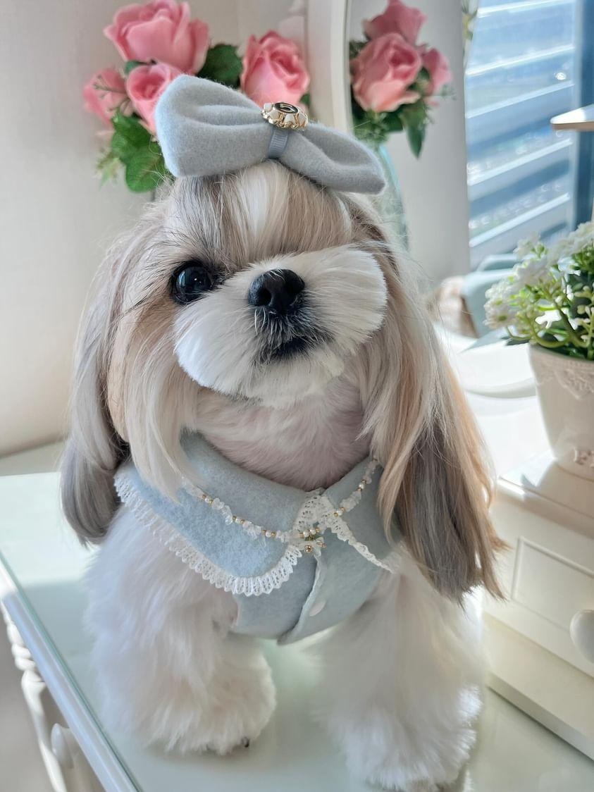 강아지목걸이 펫쥬얼리 반려견악세서리 수정 원석 요정 강아지 목걸이 : 브리지스Breezes
