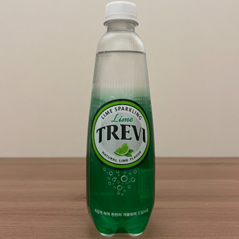 트레비 플레인 300ml펫 x 40입 : 초롱초롱상회