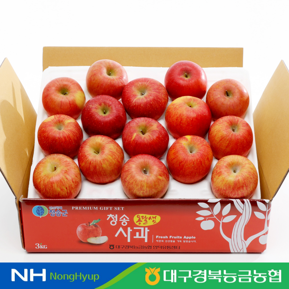 청송 사과 3kg 12-15과 빨간사과 고당도 : 대경사과원예농협 쇼핑몰