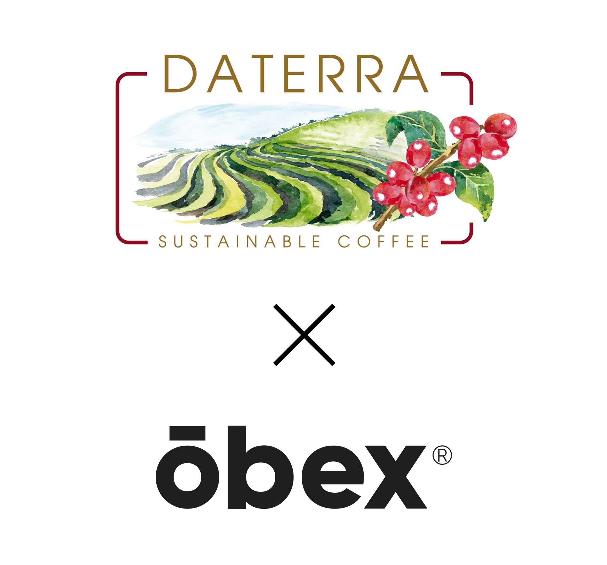 오벡스 커피 브라질 다테하 원두 BRAZIL DATERRA 500g : 오벡스컴퍼니