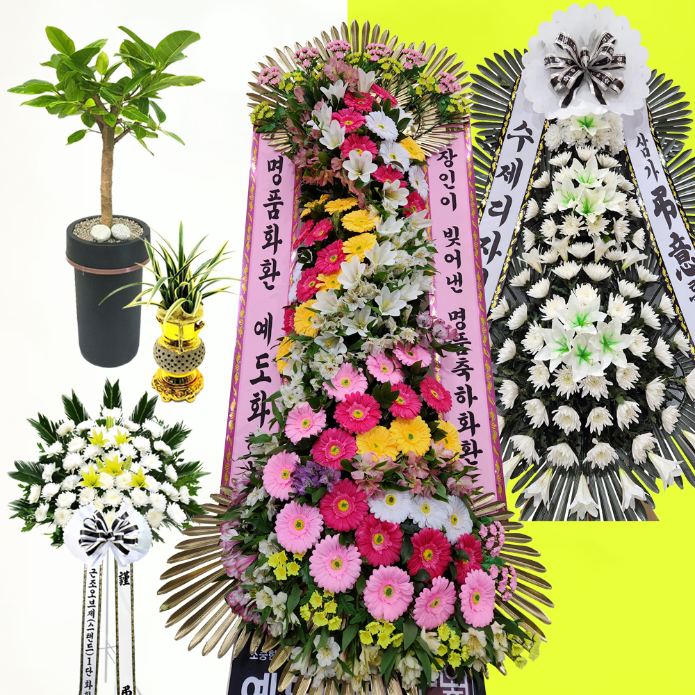 하환 화완 화안 화환 배달 전국꽃배달서비스 축하 근조 3단 명품디자인화환 특허받은화환 : 명품꽃배달 예도화환