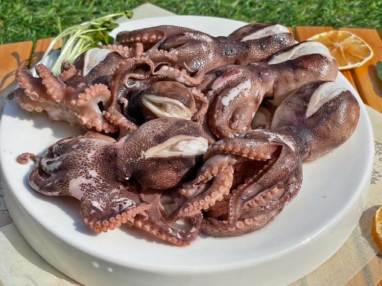 대왕 알쭈꾸미 2kg : 수산물 사장님