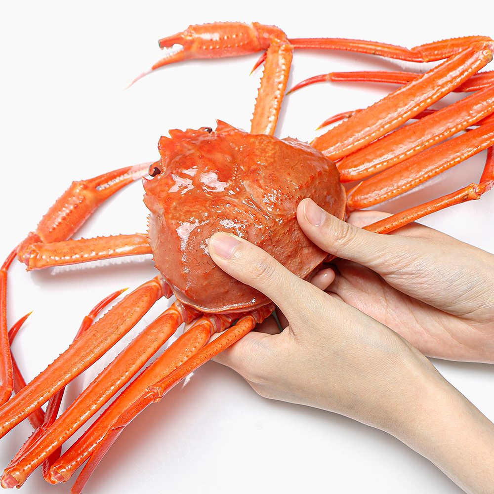 산지직송 살이 꽉찬 홍게 3kg 속초 동해 (붉은대게) : 인어교주해적단