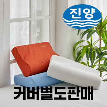 진양 국산 황토 메모리폼 베개 커버만 구매 : 이에프글로벌