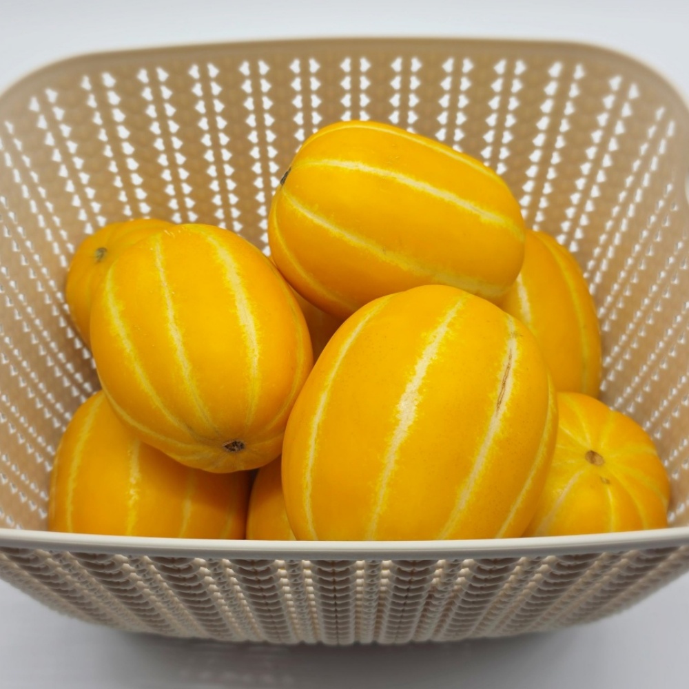 성주참외 과일선물 참외 고당도 제철과일 꿀맛 로얄과 중소과 2kg 3kg : 라이프 멋 농수산마켓