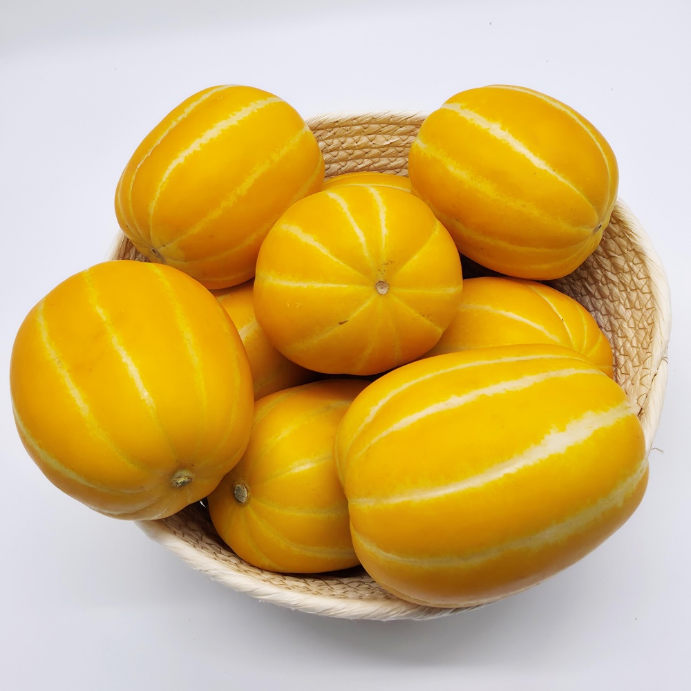 성주참외 과일선물 참외 고당도 제철과일 꿀맛 로얄과 중소과 2kg 3kg : 라이프 멋 농수산마켓
