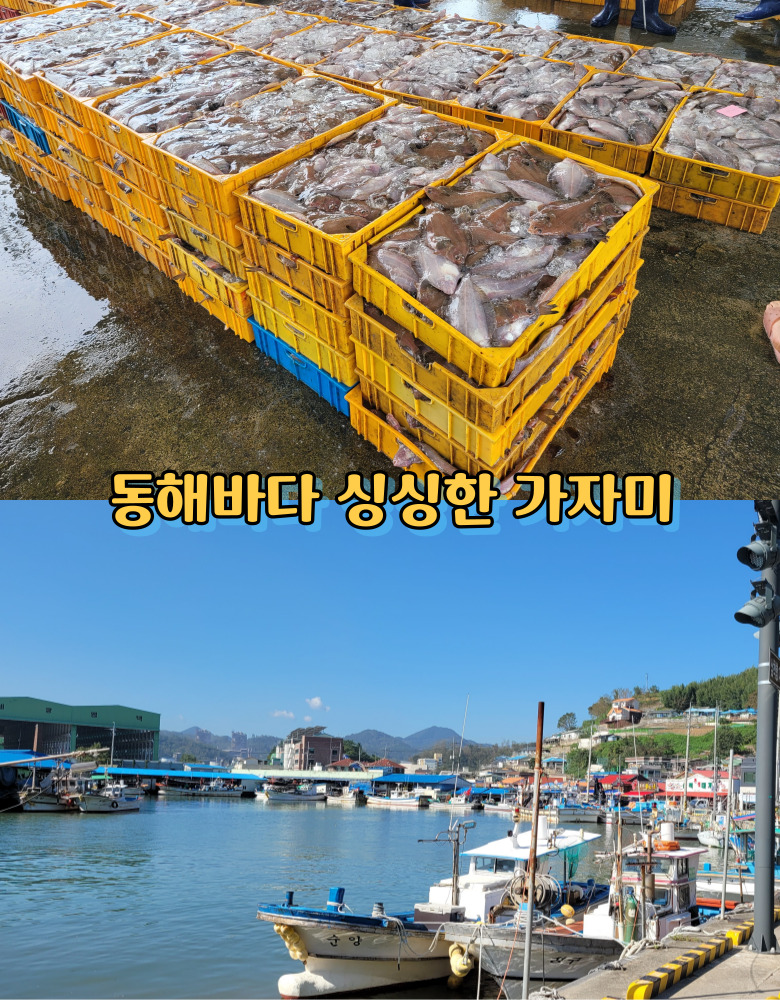 수미상회 동해바다 함경도식 가자미식해 1kg 강원도 삼척발송 : 삼척수미상회