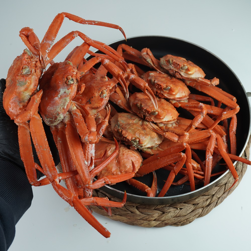 수율보장 산지직송 제철 구룡포 자숙 찜 연지 홍게 타이탄 : 어나더 팩토리