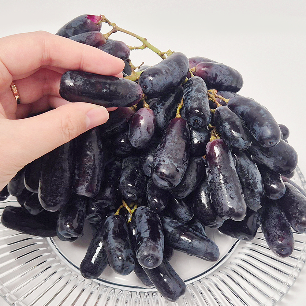 고당도 씨없는 블랙사파이어 1kg, 가지포도 핑거포도 스위트사파이어 : 아름담은 식탁