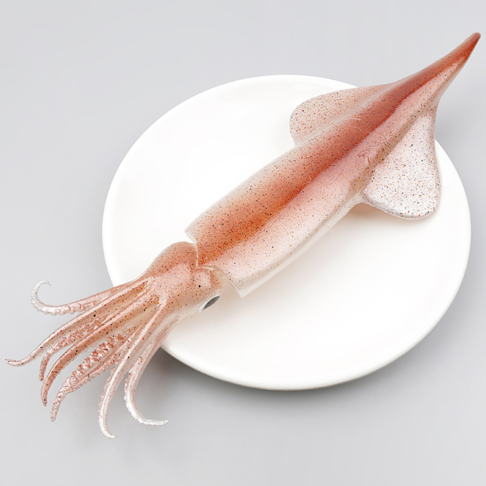 오징어 모형 30cm 해산물 바다 음식모형 모조 교구 소품 장식 전시 UR : 더리얼스엠데코