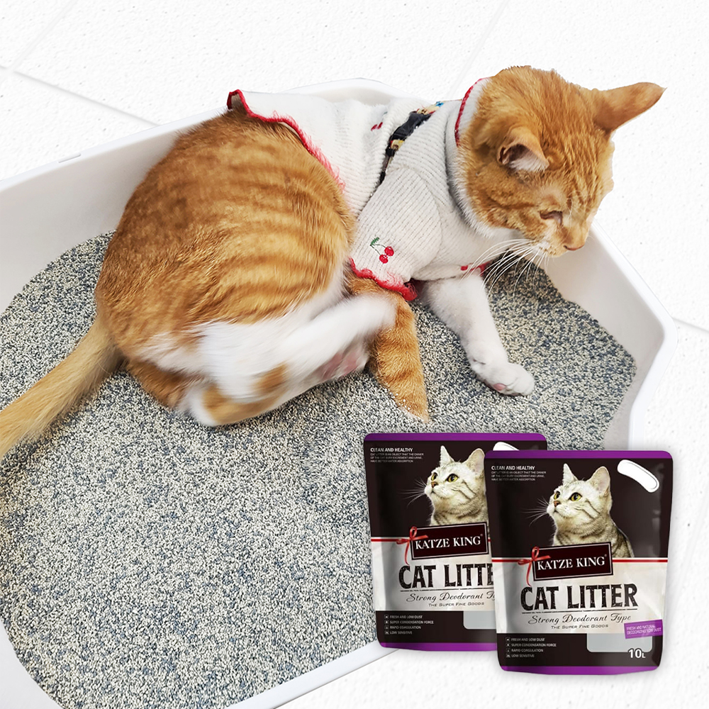 카츠킹 벤토나이트 모래 대용량 고양이 화장실모래 10L x 2 (20L) : 페밀리아