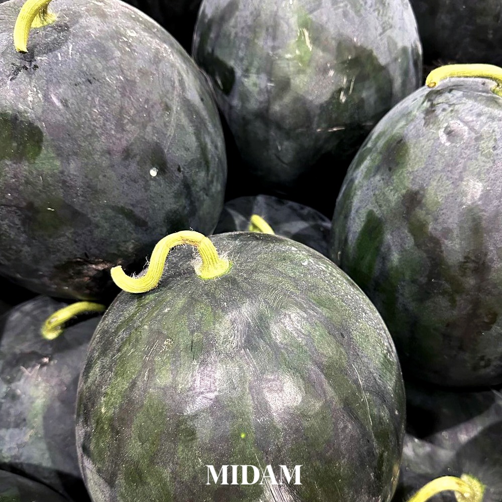 시원한 달콤함! 고당도 함안 흑수박 6~7kg (제주, 산간 배송 불가) : 미담상회