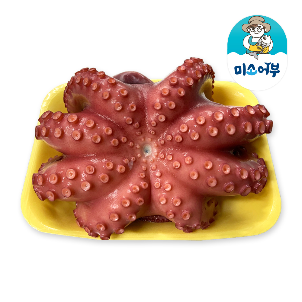 남해안 통한마리 자숙문어 500g 700g 1kg 제수용 삶은문어 문어택배 : 미소어부
