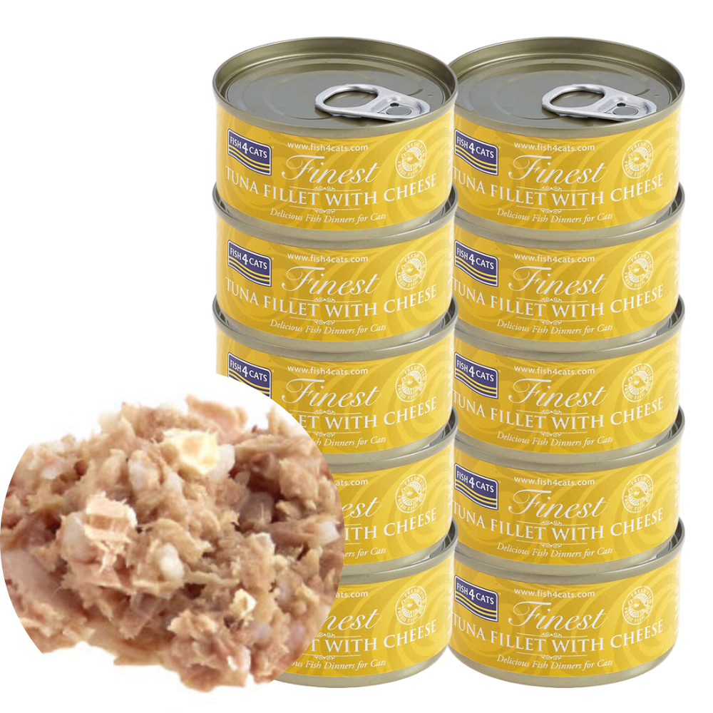 피쉬포캣 고양이 주식캔 참치+치즈 노랑, 70g, 10개 : 블랑캣