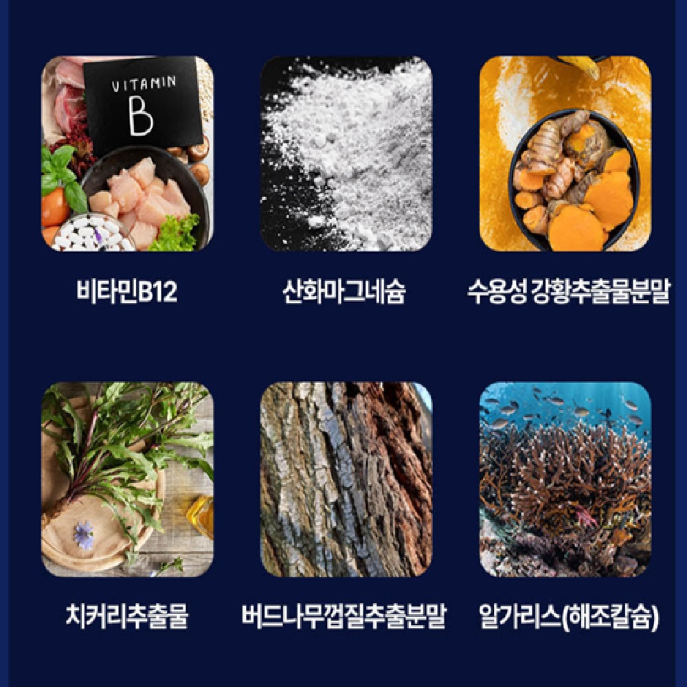철갑상어 콘드로이친 콘도로이친 철갑상어연골 콘트로이친 1개월분 : 현 가든