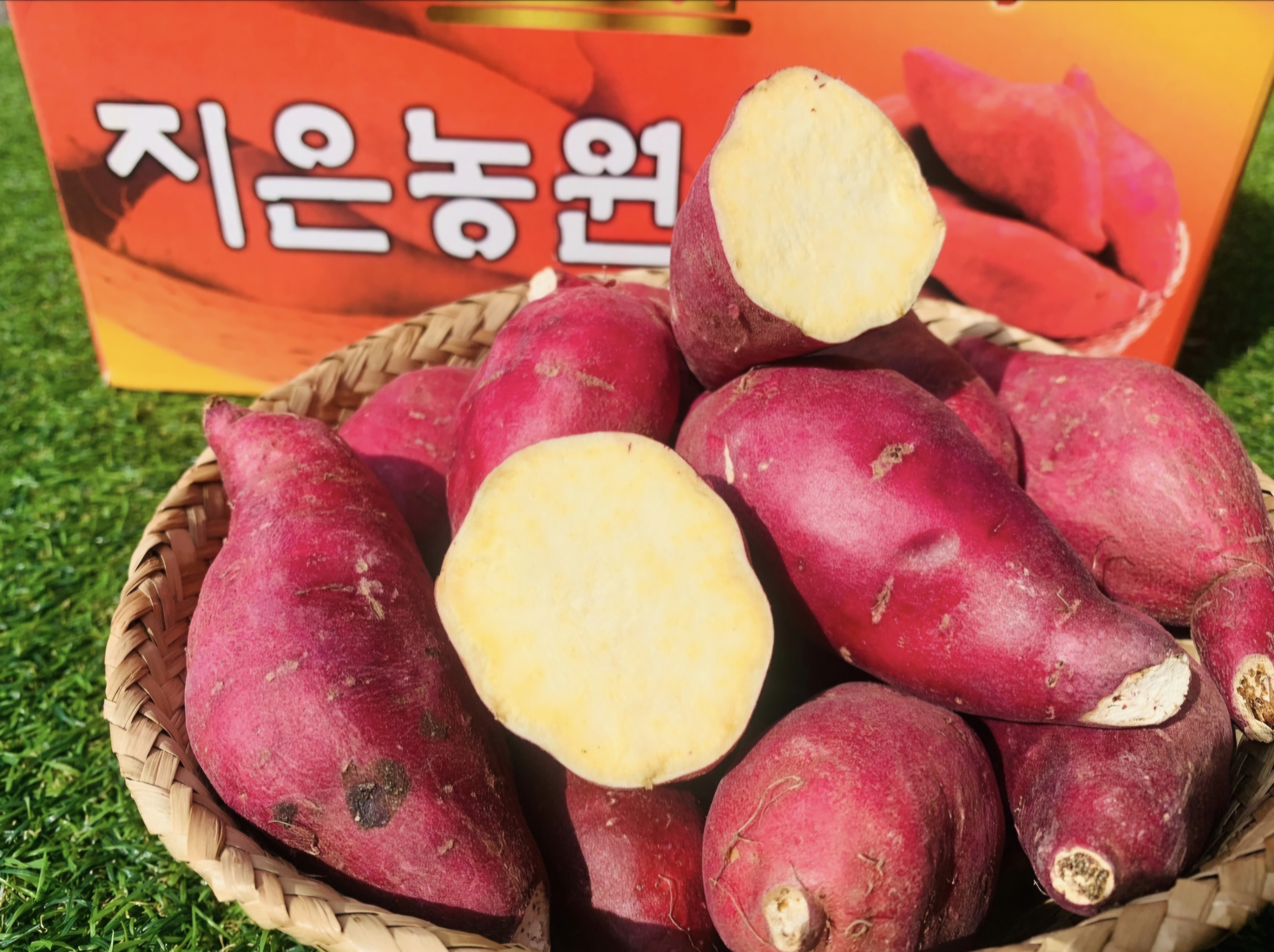 베니지민 꿀고구마 지은농원 소량구매 3kg 5kg : 귀한과일 더드림