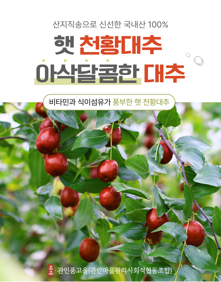 천황대추 : 관인품고을